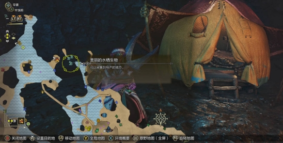 人类骑术训练师职业介绍：完整解析这一无与伦比职业的职责与要求